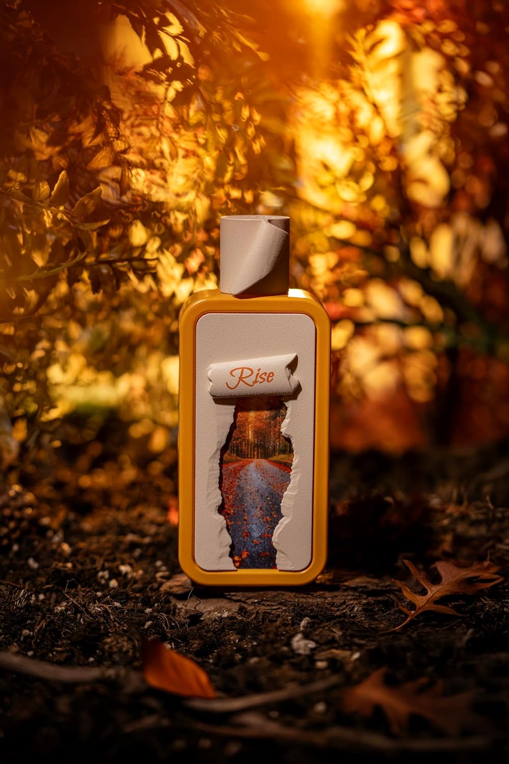 RiiFFS Seasons Rise Eau de Parfum | 100ml | Genuine Brand Import